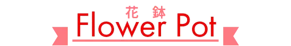 花鉢