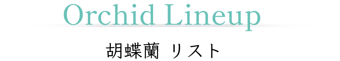 Orchid Lineup 胡蝶蘭 リスト