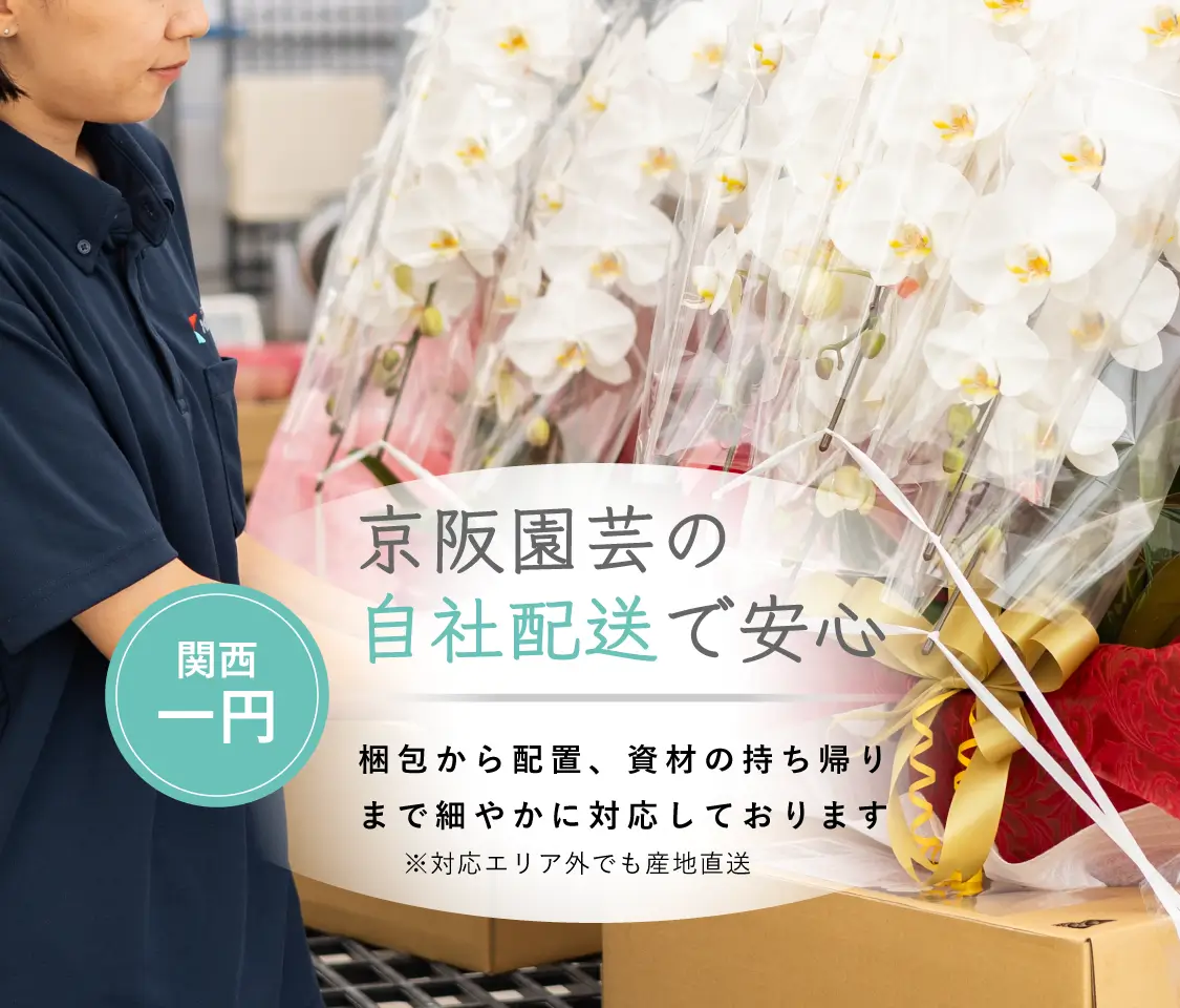 関西一円 京阪園芸の自社配送で安心 梱包から配置、資材の持ち帰りまで細やかに対応しております ※対応エリア外でも産地直送