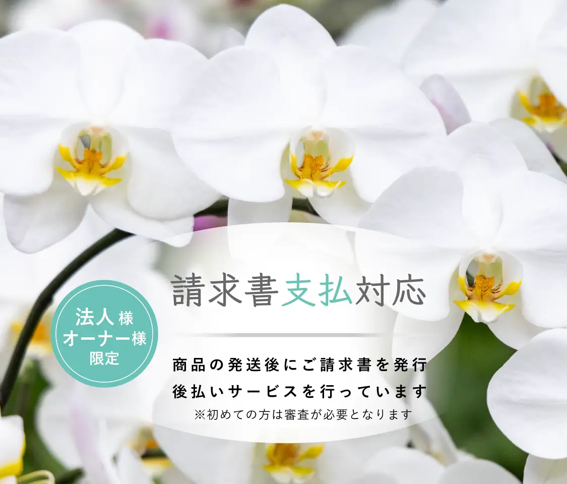 請求書支払対応 商品の発送後にご請求書を発行後払いサービスを行っています ※初めての方は審査が必要となります